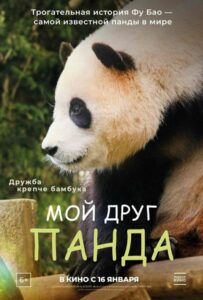 Мой друг панда Смотреть Онлайн на Лордфильм